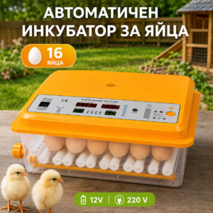 Автоматичен инкубатор за 16 яйца с овоскоп и контрол на температурата
