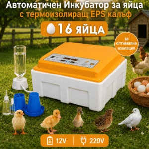 Автоматичен инкубатор с EPS стиропорен калъф – 16 яйца, овоскоп