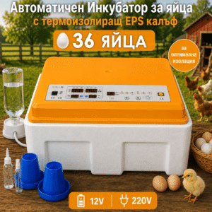 Термоизолиран инкубатор за кокоши, патешки и пъдпъдъчи яйца – 36 яйца